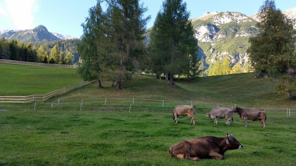 Ferienwohnungen Rauth Leutasch Esterno foto
